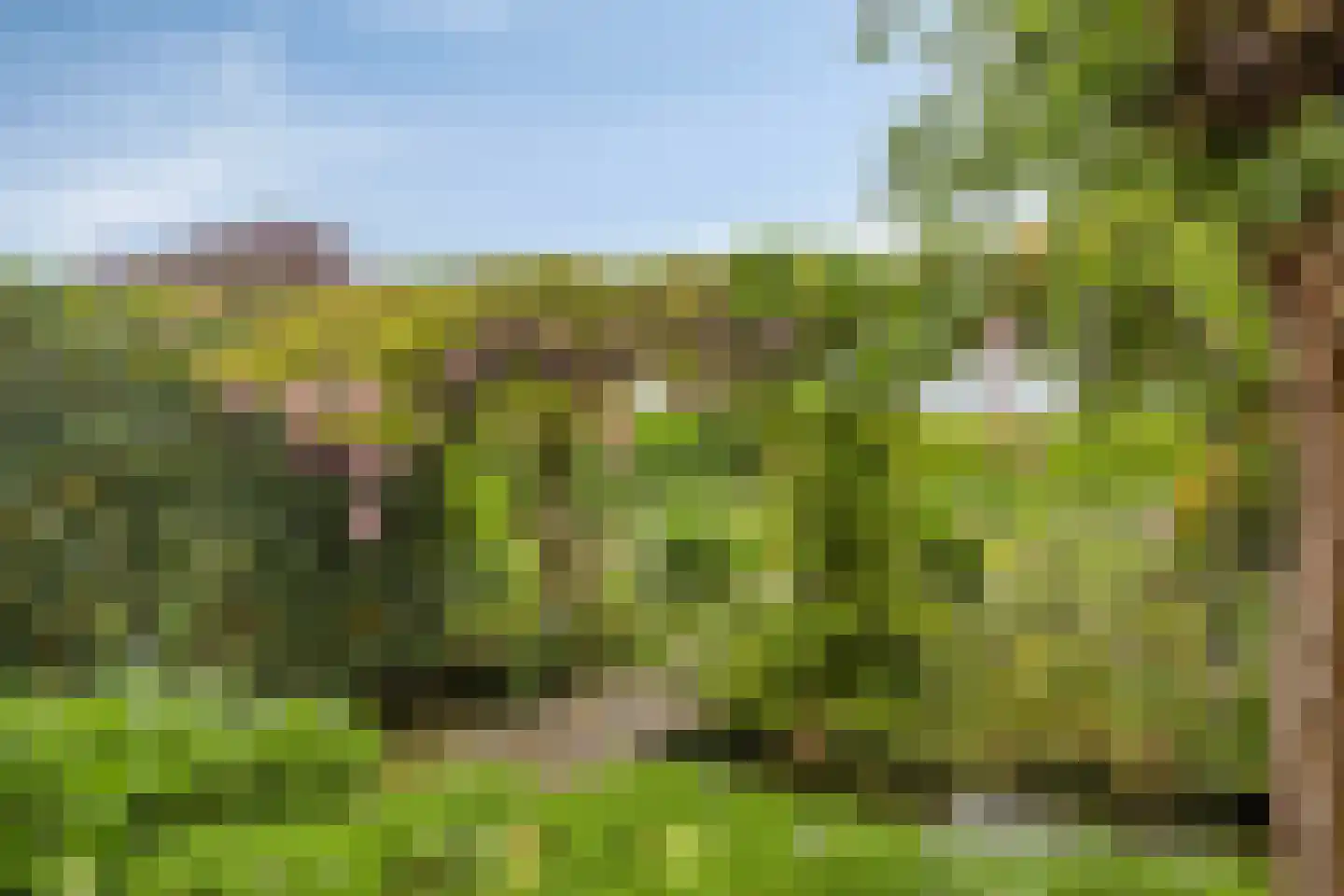 Stokebrand 528 Zutphen thumbnail 48