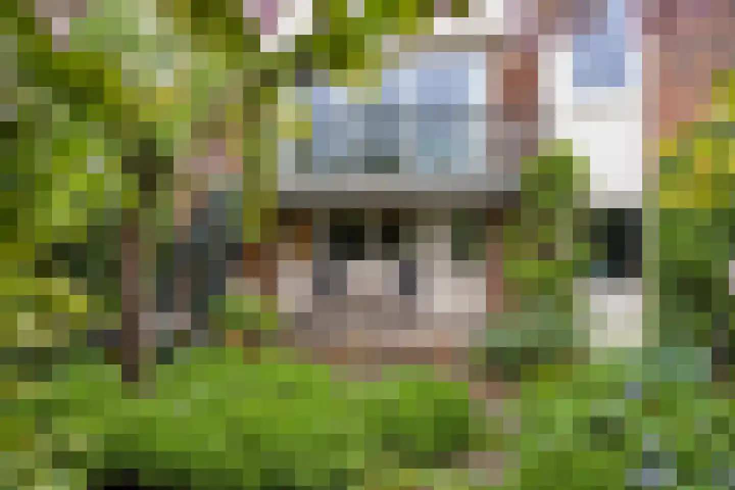 Stokebrand 528 Zutphen thumbnail 49