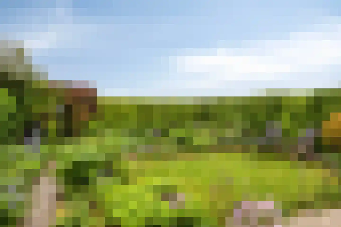 Stokebrand 528 Zutphen thumbnail 51