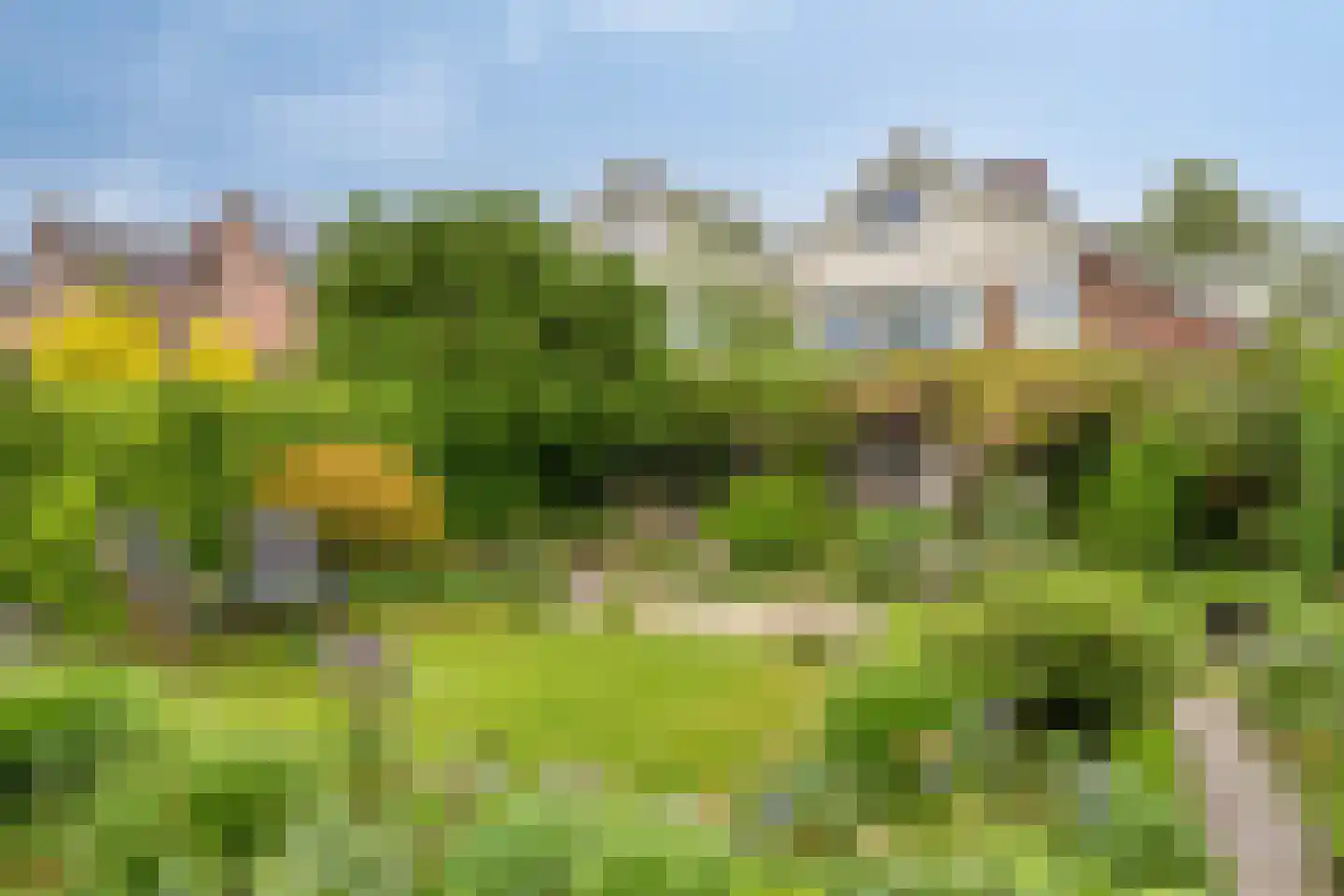Stokebrand 528 Zutphen thumbnail 52