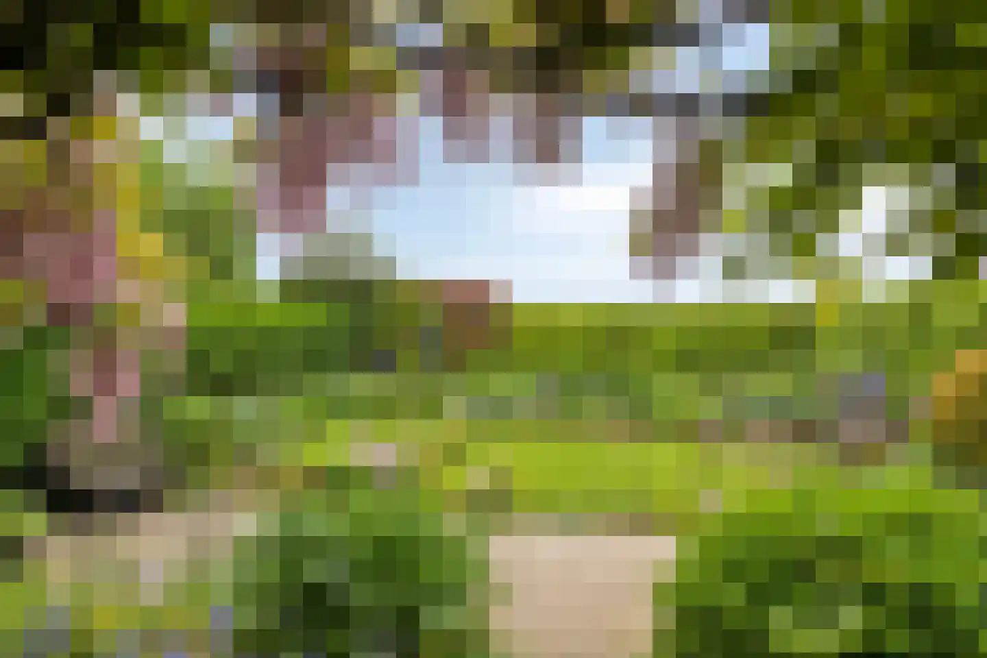 Stokebrand 528 Zutphen thumbnail 55