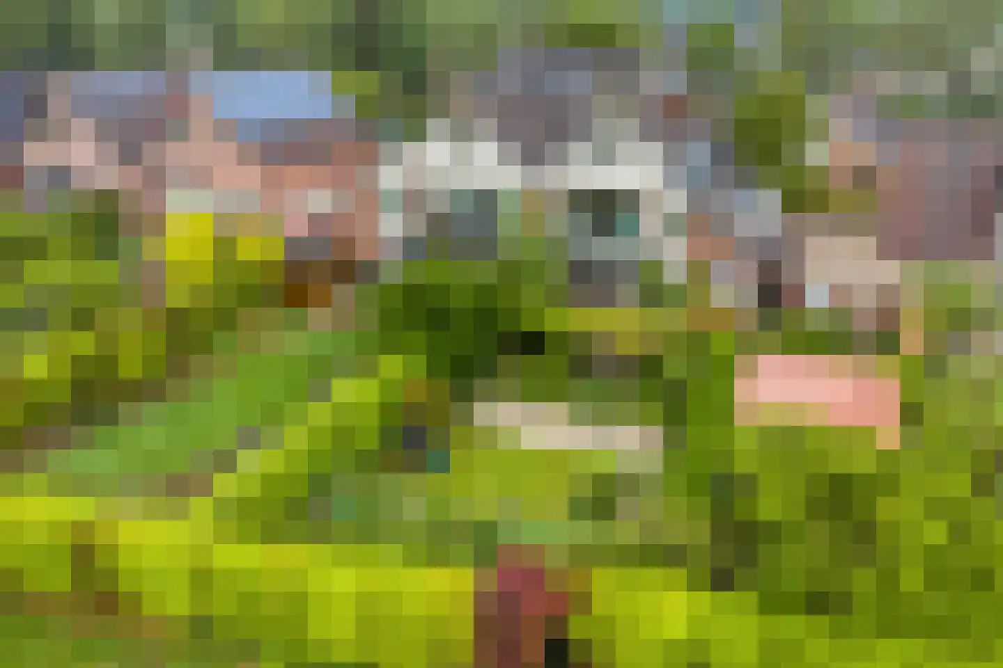 Stokebrand 528 Zutphen thumbnail 58