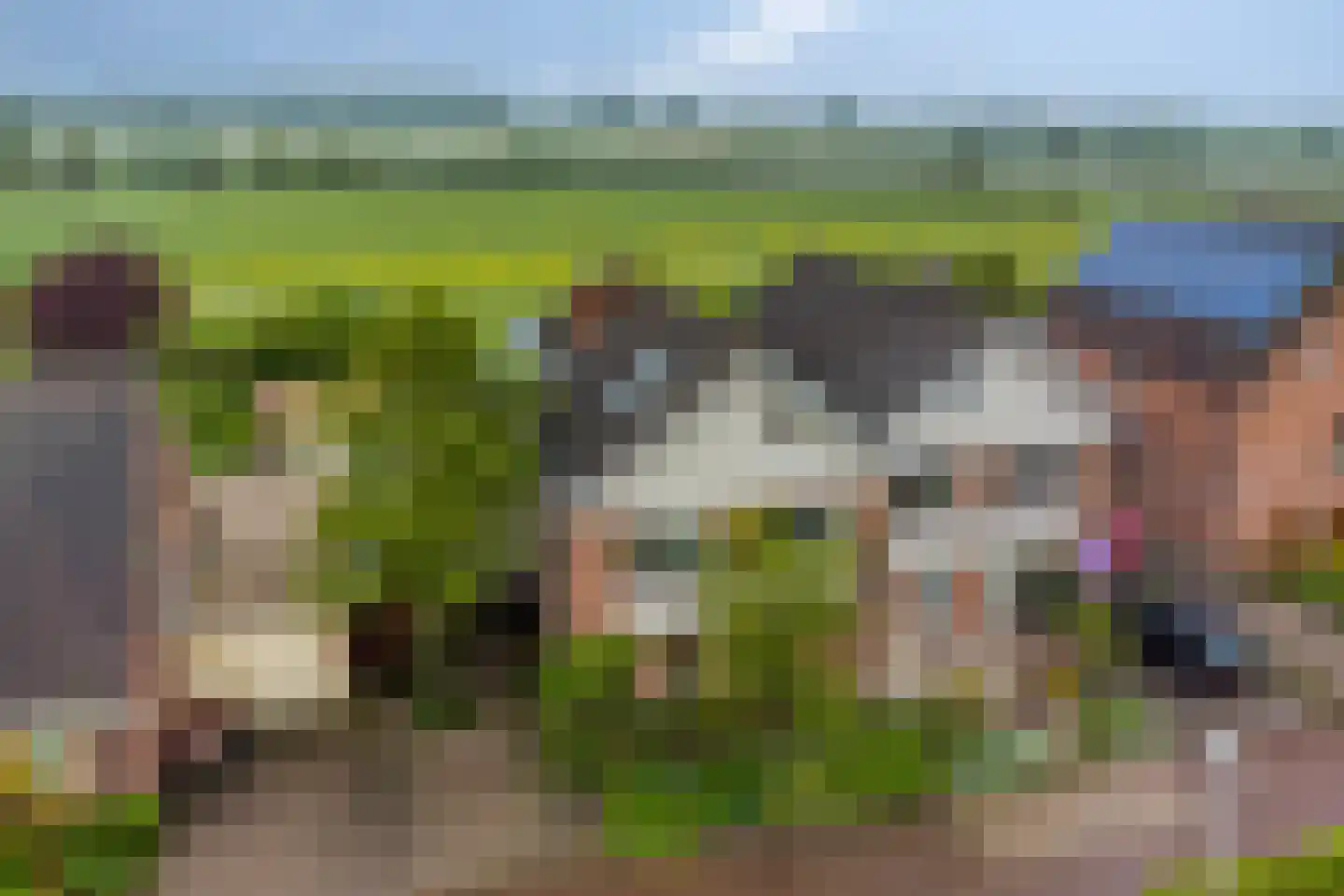 Stokebrand 528 Zutphen thumbnail 59
