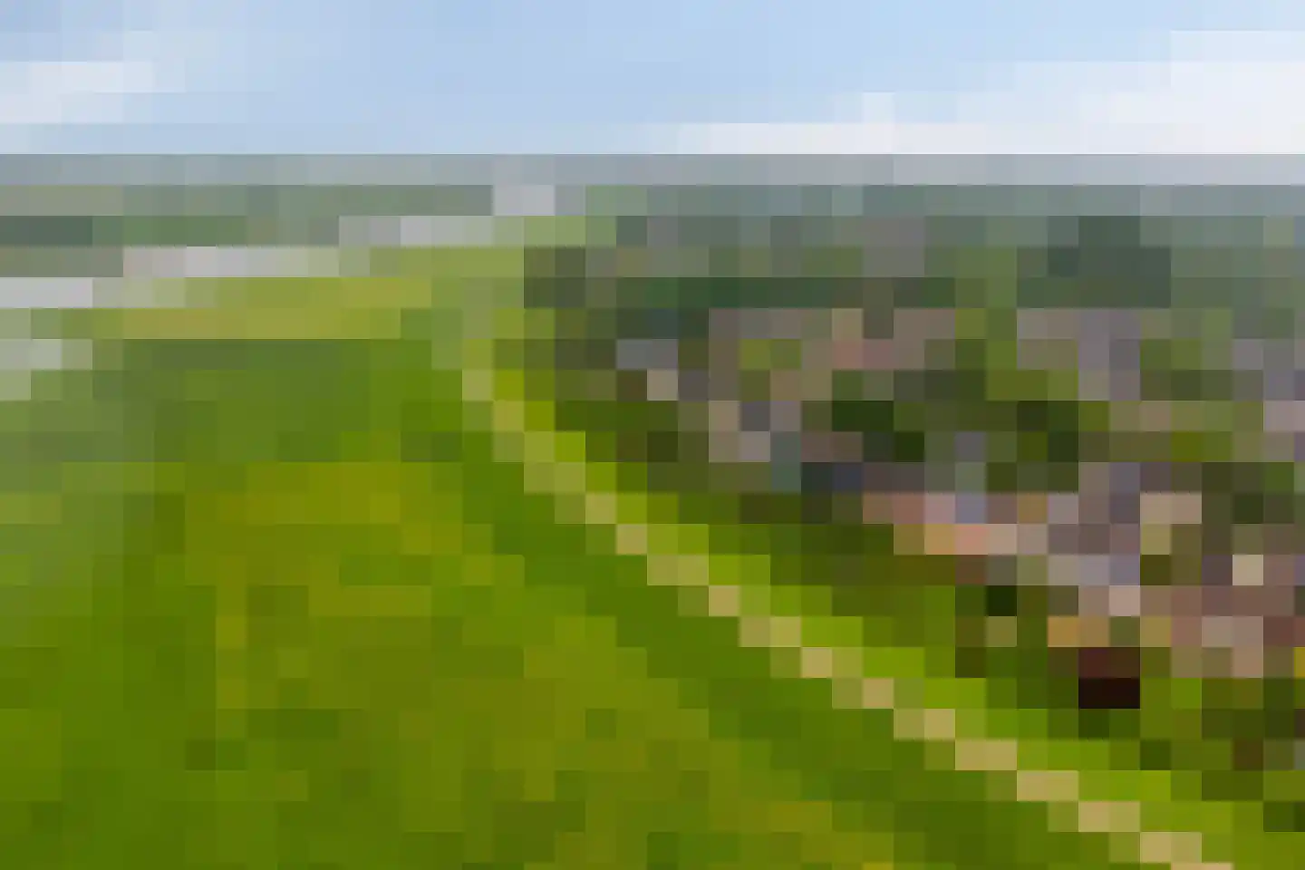 Stokebrand 528 Zutphen thumbnail 61