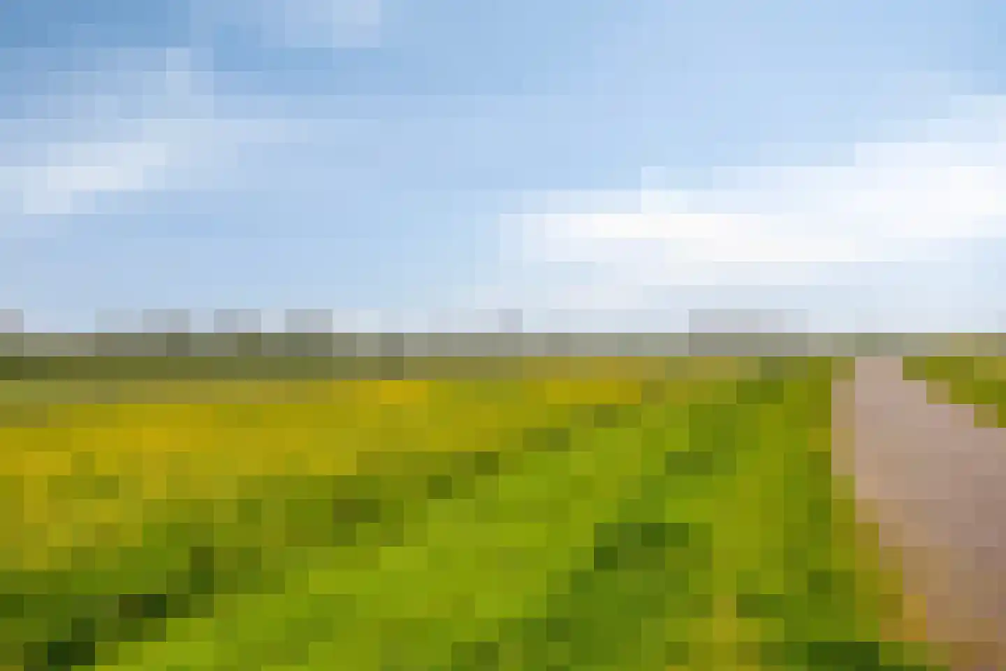 Stokebrand 528 Zutphen thumbnail 62