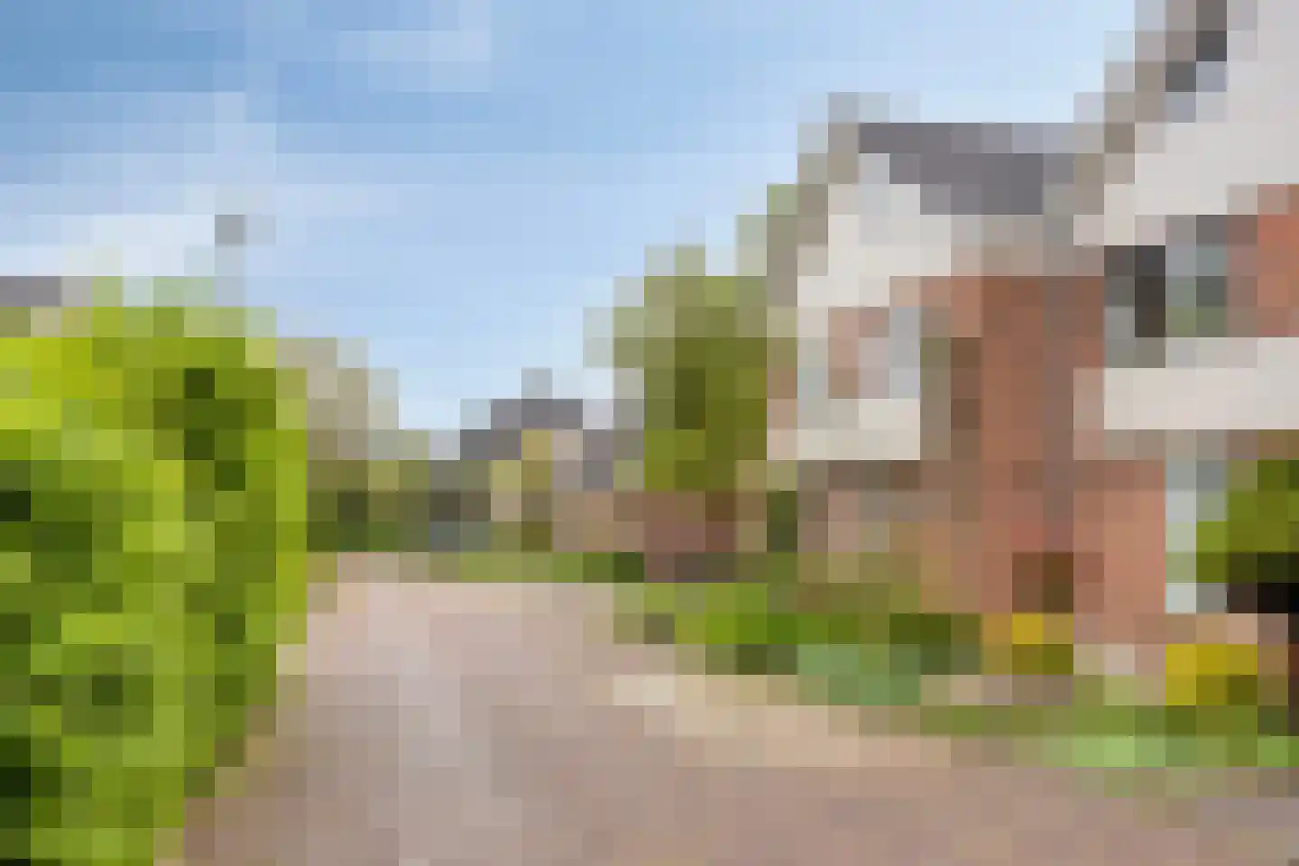 Stokebrand 528 Zutphen thumbnail 63