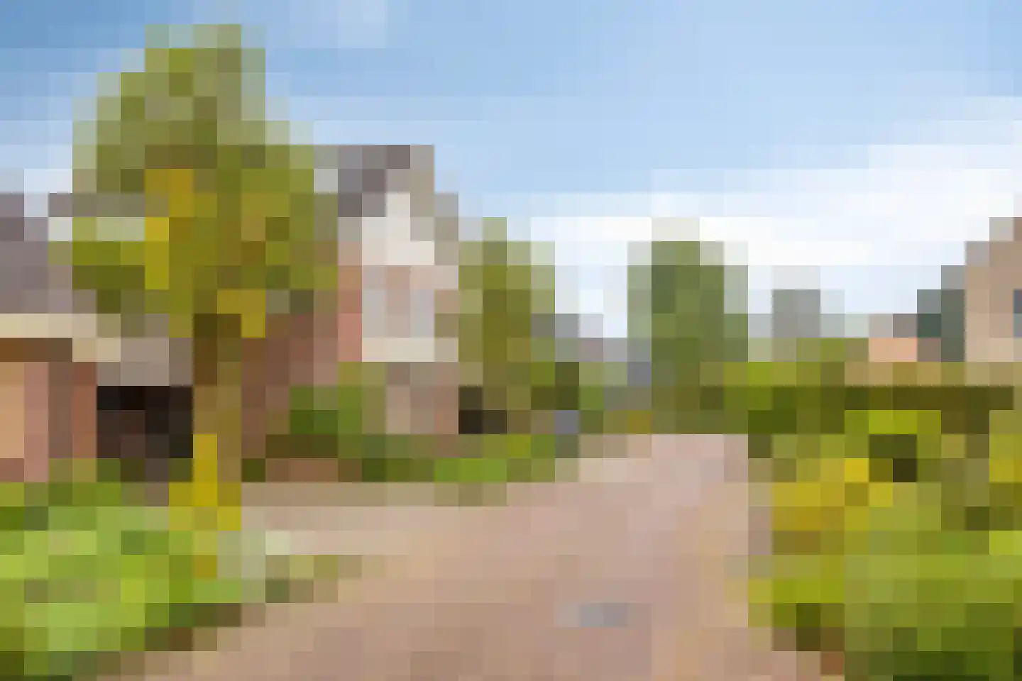 Stokebrand 528 Zutphen thumbnail 64