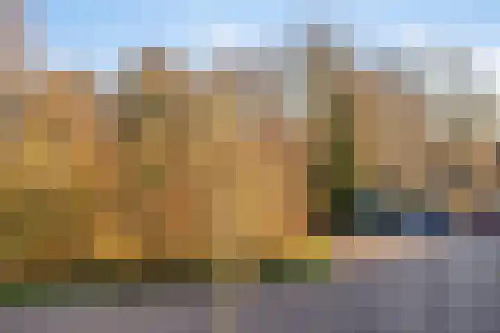 Stokebrand 70 Zutphen thumbnail 14