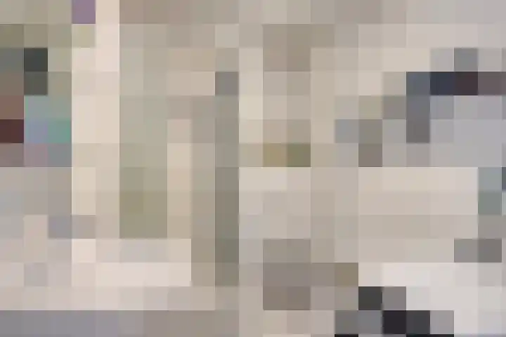 Stokebrand 70 Zutphen thumbnail 20