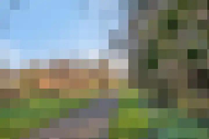 Stokebrand 70 Zutphen thumbnail 35