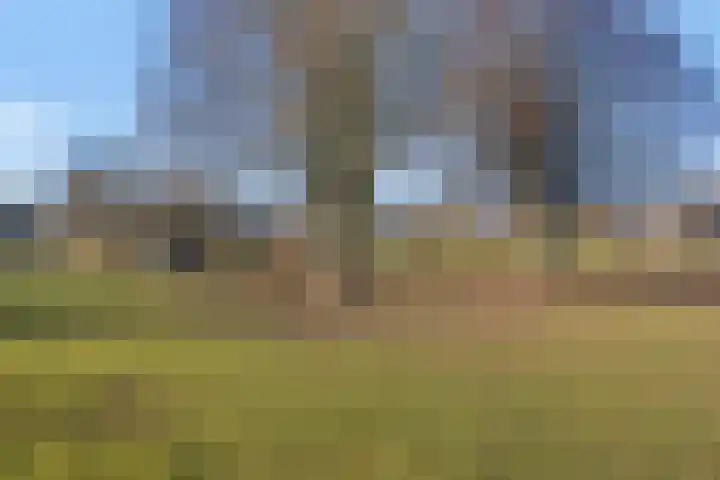 Stokebrand 70 Zutphen thumbnail 36