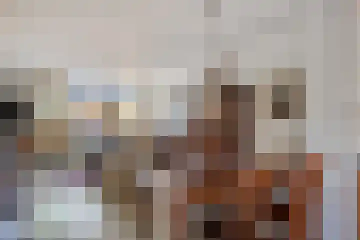 Stokebrand 70 Zutphen thumbnail 4