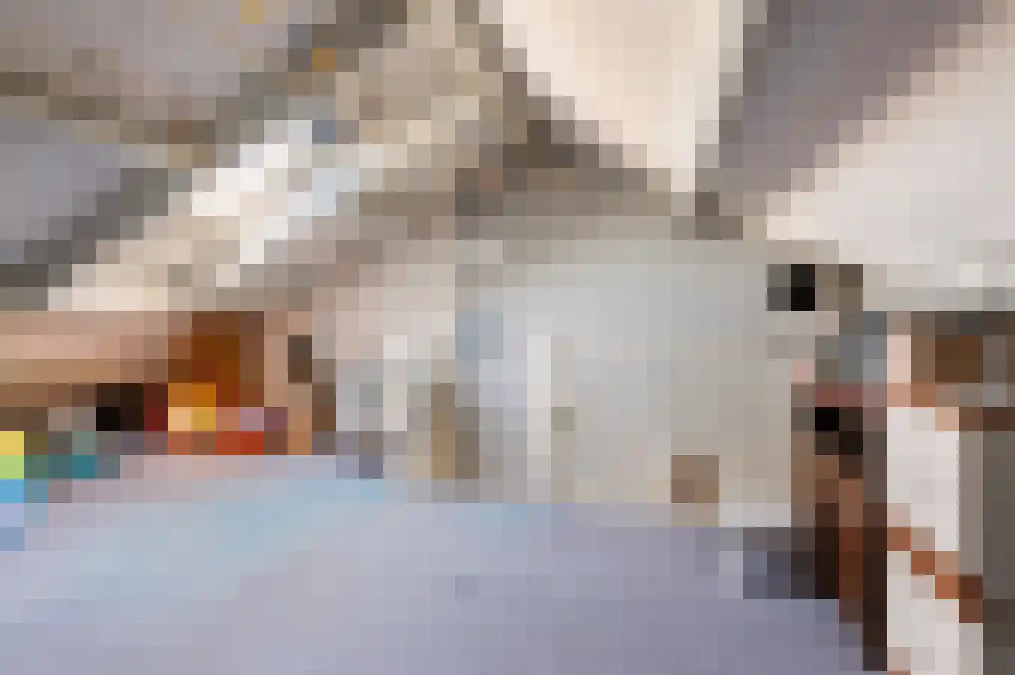 Stokebrand 72 Zutphen thumbnail 26