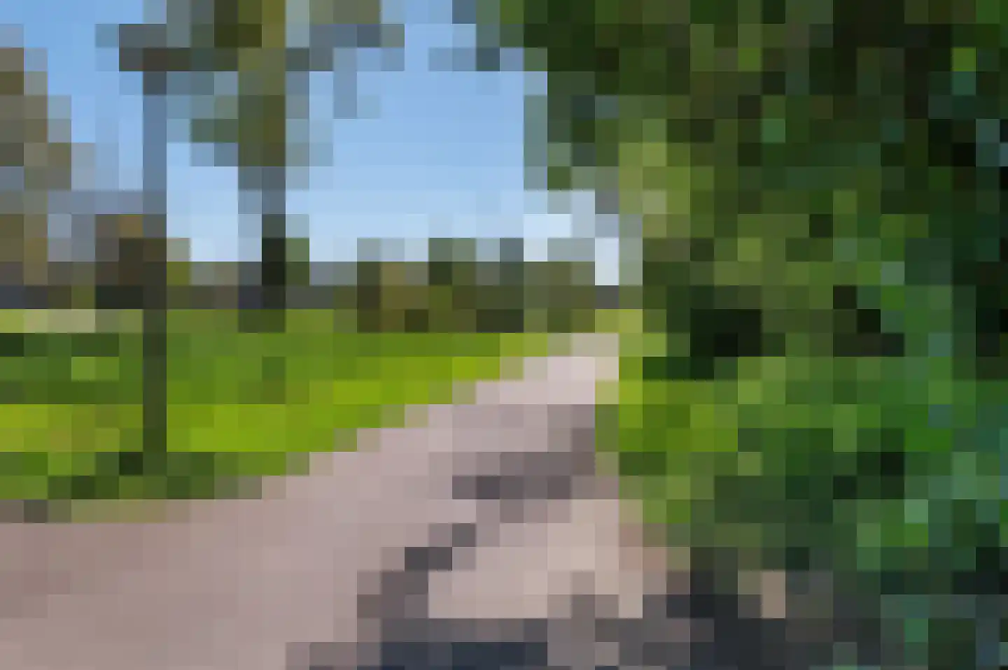 Stokebrand 72 Zutphen thumbnail 31