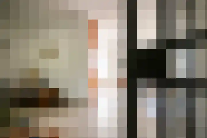 Stokekker 55 Bladel thumbnail 10