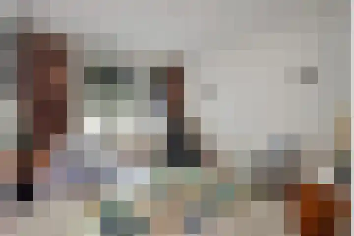 Stokekker 55 Bladel thumbnail 11