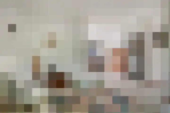 Stokekker 55 Bladel thumbnail 12