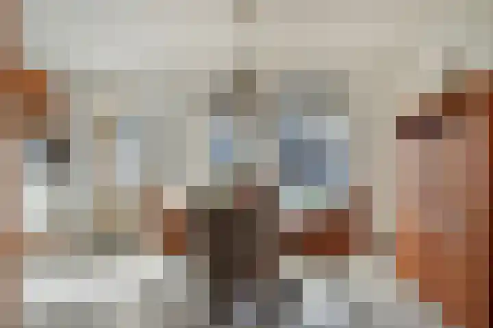 Stokekker 55 Bladel thumbnail 14