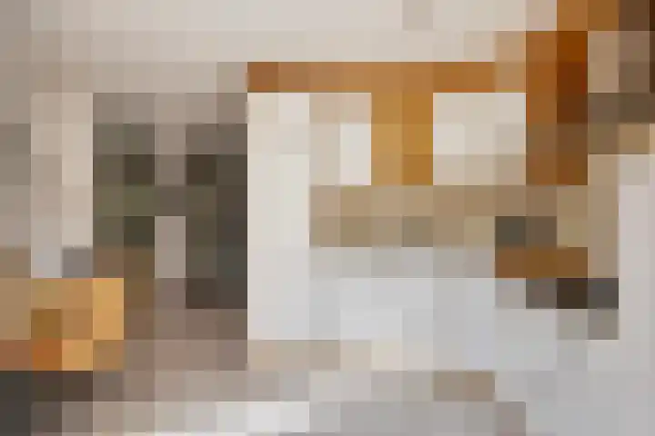 Stokekker 55 Bladel thumbnail 16