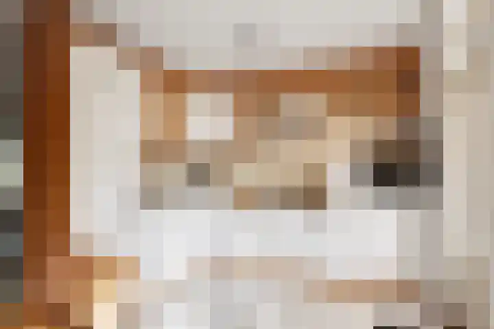 Stokekker 55 Bladel thumbnail 17
