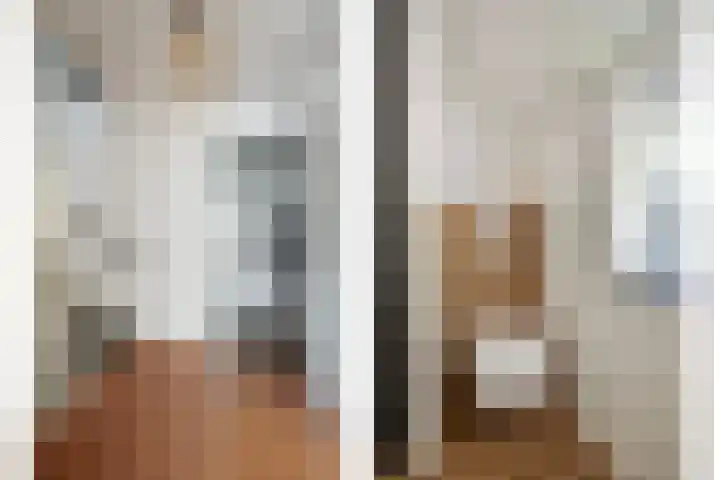 Stokekker 55 Bladel thumbnail 19