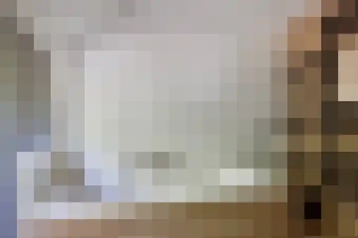 Stokekker 55 Bladel thumbnail 21