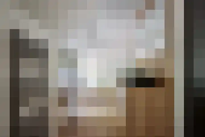 Stokekker 55 Bladel thumbnail 22