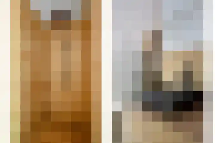 Stokekker 55 Bladel thumbnail 23