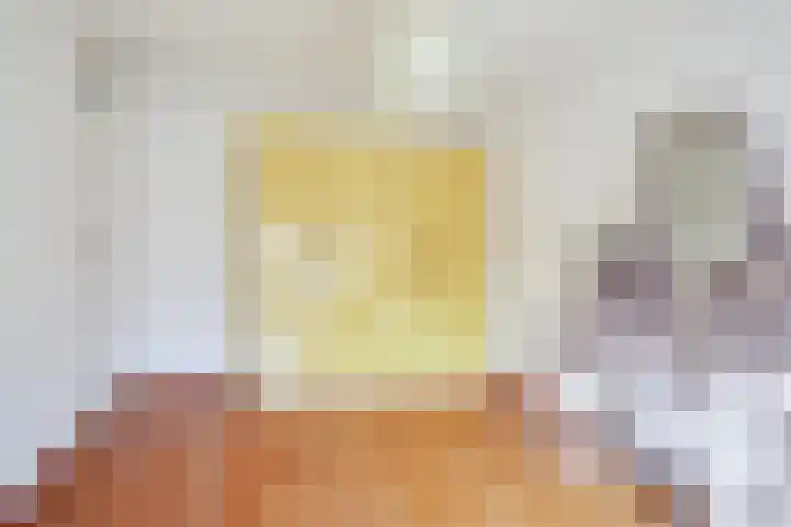 Stokekker 55 Bladel thumbnail 27