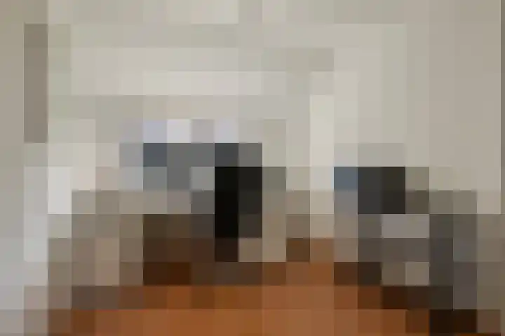 Stokekker 55 Bladel thumbnail 28