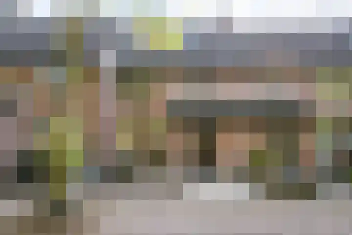 Stokekker 55 Bladel thumbnail 30