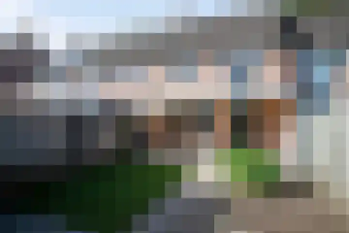 Stokekker 55 Bladel thumbnail 33