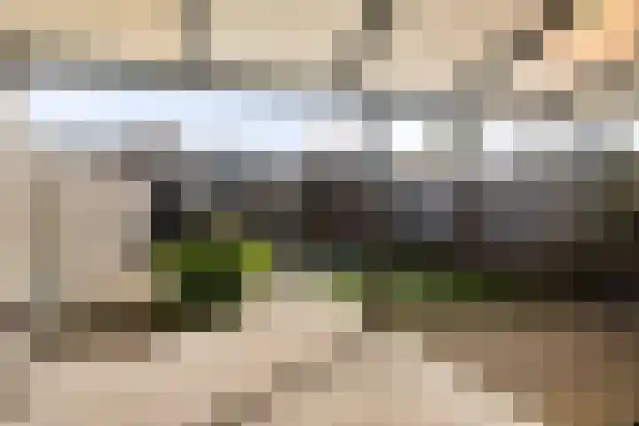 Stokekker 55 Bladel thumbnail 34