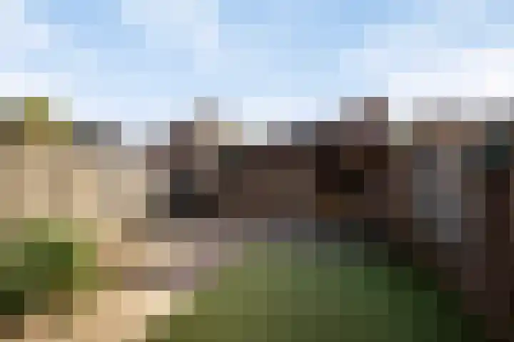 Stokekker 55 Bladel thumbnail 35