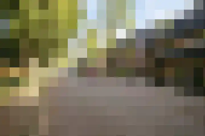 Stokekker 55 Bladel thumbnail 36