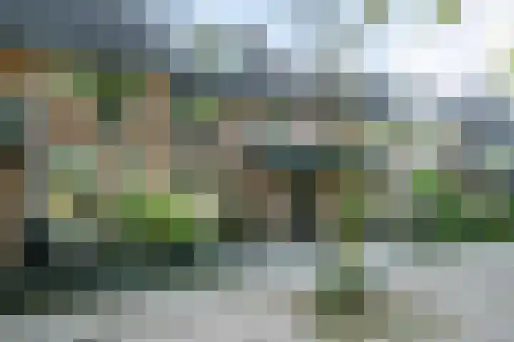 Stokekker 55 Bladel thumbnail 37