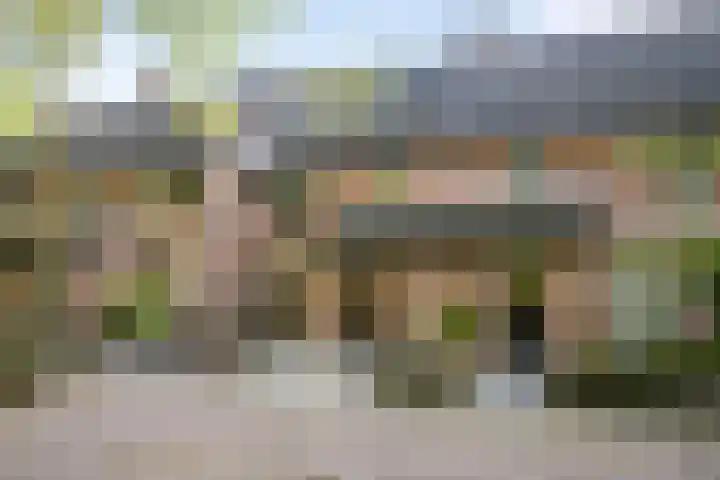 Stokekker 55 Bladel thumbnail 38