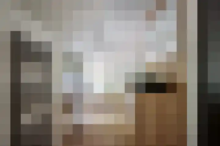 Stokekker 55 Bladel thumbnail 4