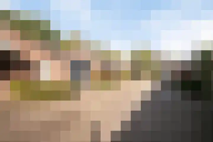 Stokekker 55 Bladel thumbnail 6