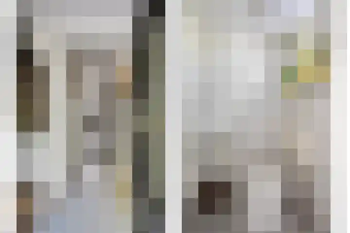 Stokekker 55 Bladel thumbnail 8