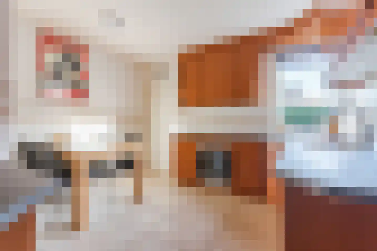 Stokekker 69 Bladel thumbnail 15