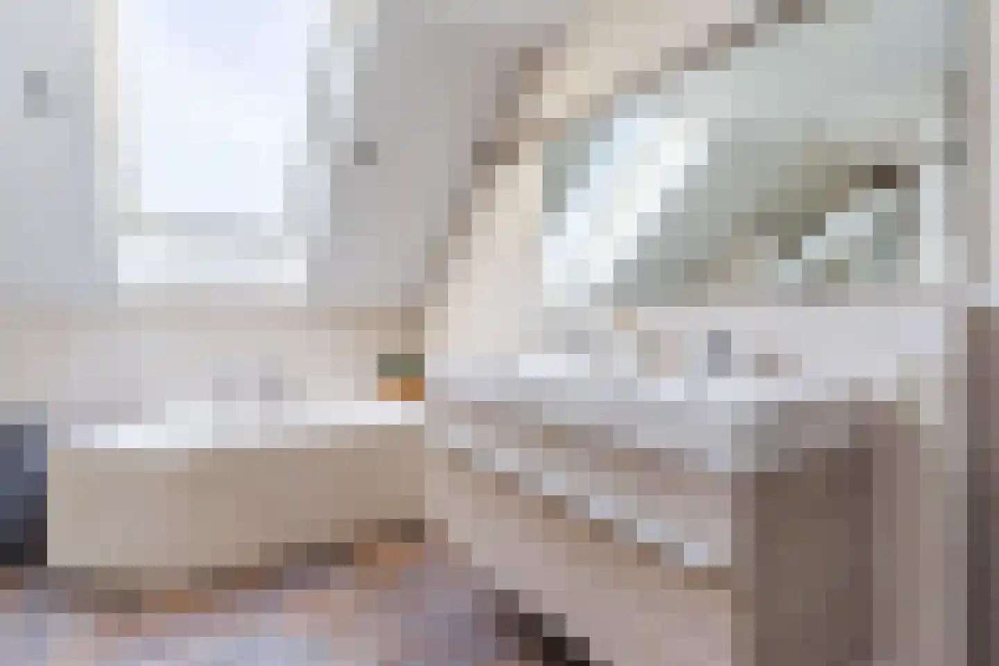 Stokekker 69 Bladel thumbnail 33