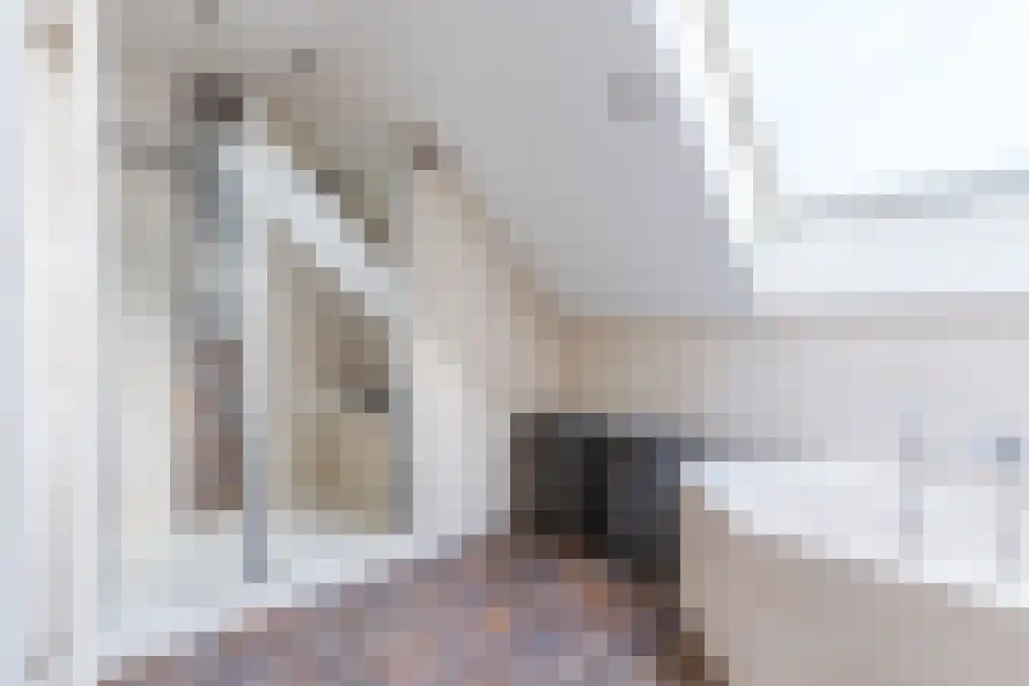 Stokekker 69 Bladel thumbnail 34