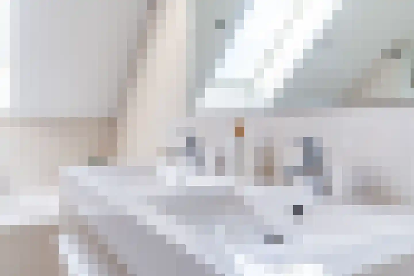 Stokekker 69 Bladel thumbnail 36