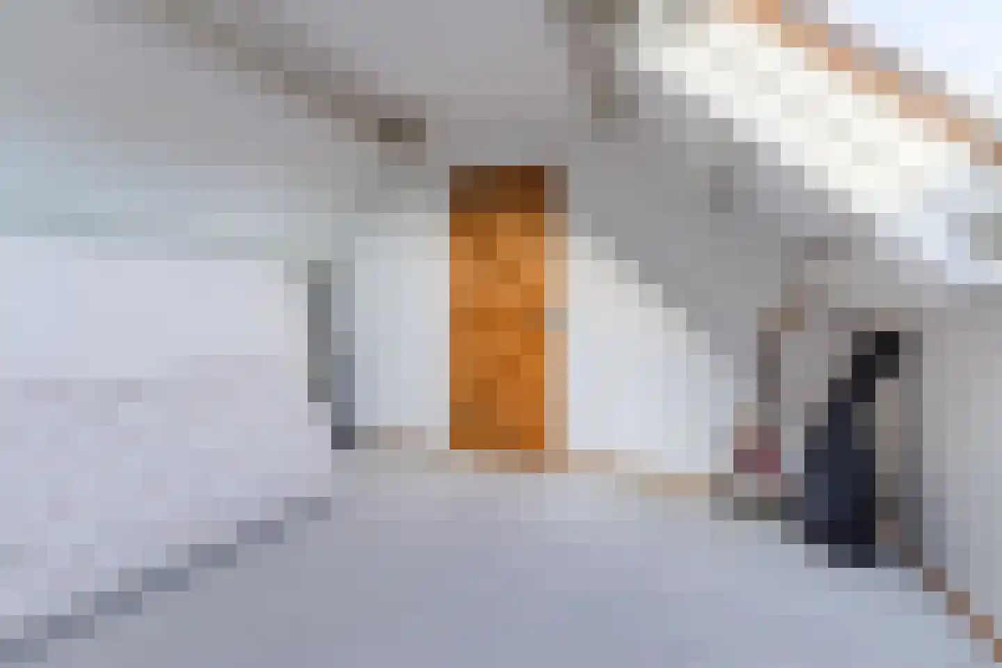 Stokekker 69 Bladel thumbnail 41