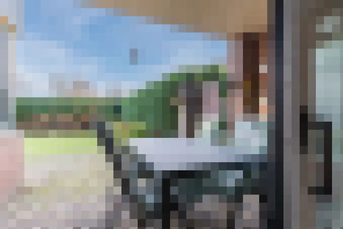 Stokekker 69 Bladel thumbnail 42
