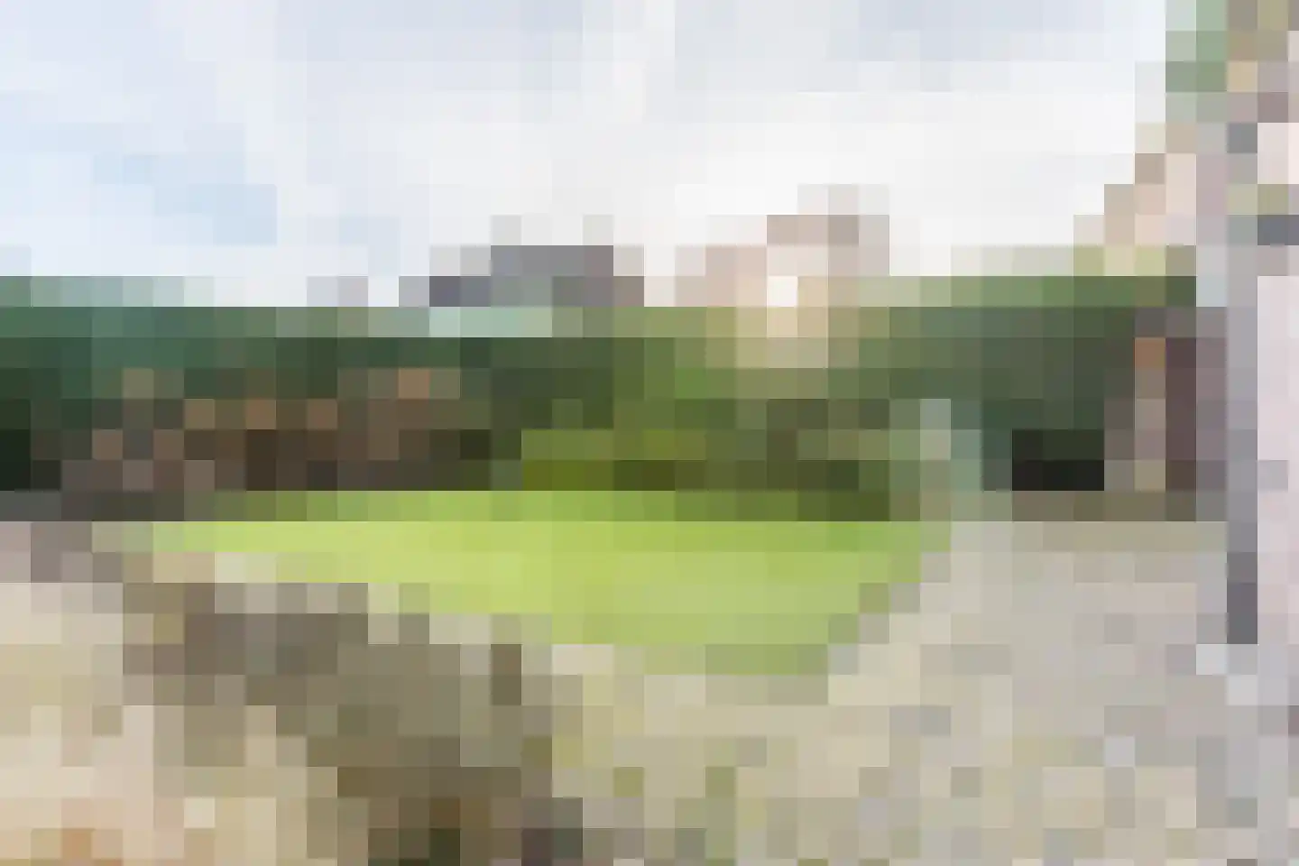 Stokekker 69 Bladel thumbnail 44