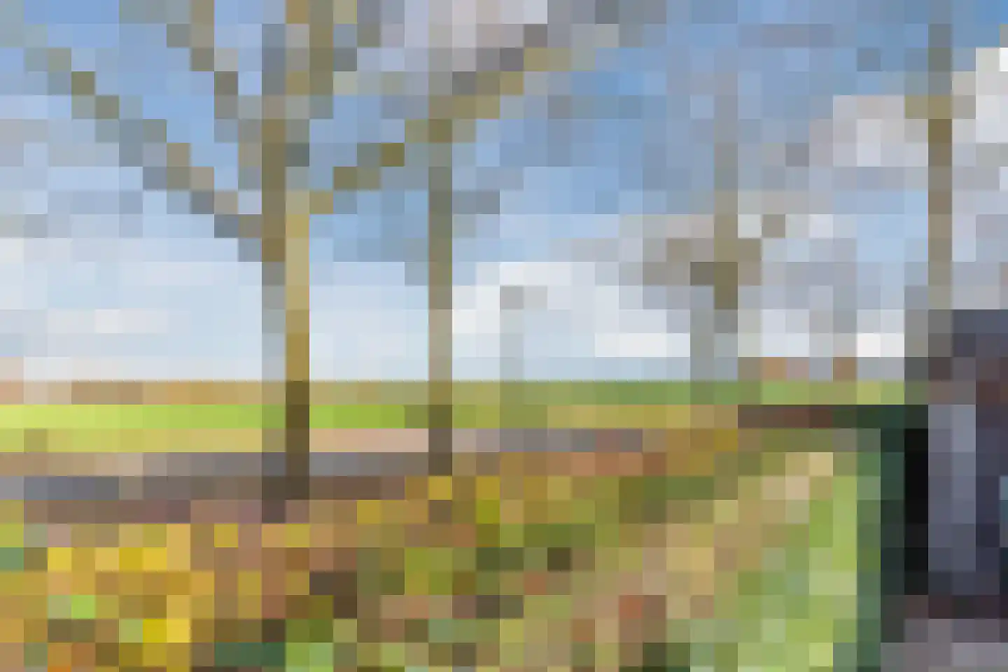 Stokekker 69 Bladel thumbnail 45