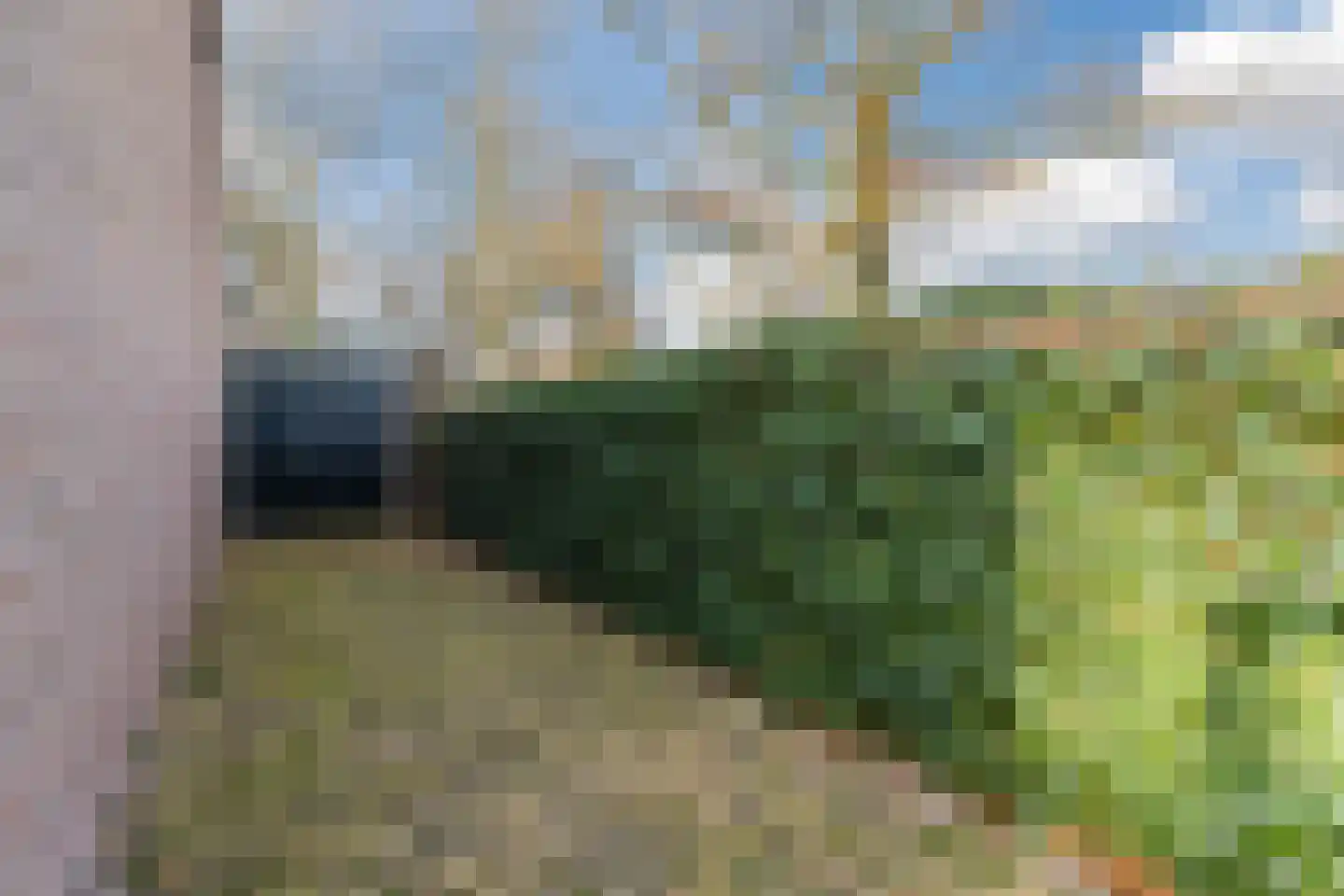 Stokekker 69 Bladel thumbnail 51