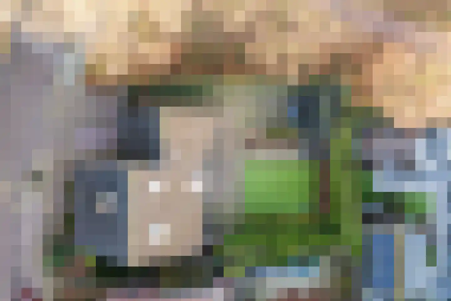 Stokekker 69 Bladel thumbnail 52